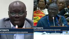 Bryan Acheampong and Ato Forson