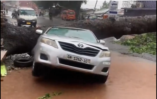 Damaged cars