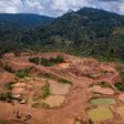 Galamsey: Lands Minister halts all forest mining permits
