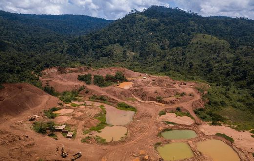 Galamsey: Lands Minister halts all forest mining permits