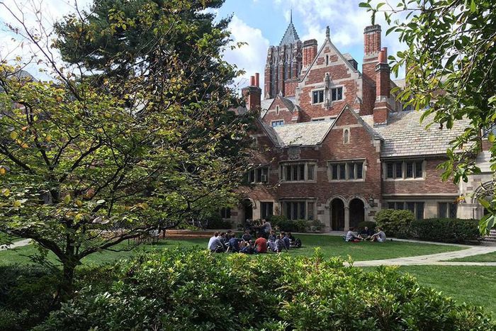 Yale Law School Facebook