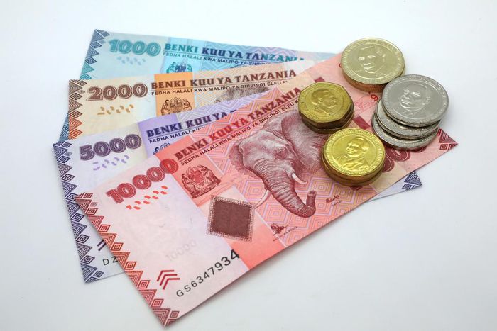 Tanzania currency