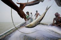 An island in India is disappearing, but some of the last residents say they can't afford to move away