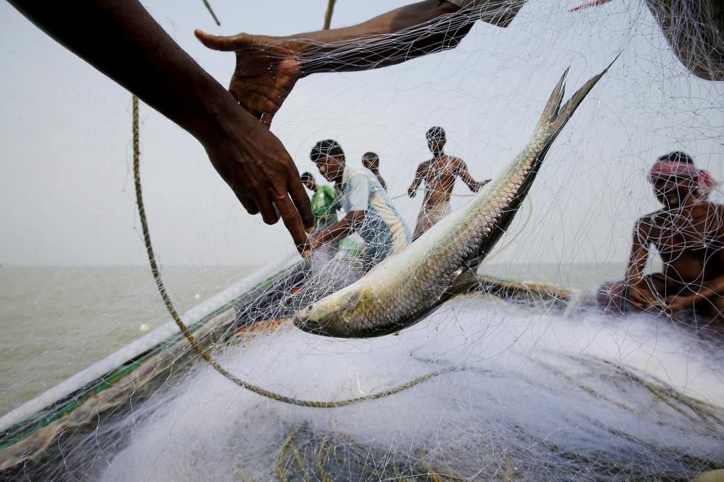 An island in India is disappearing, but some of the last residents say they can't afford to move away