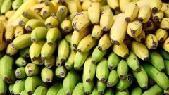 Which bananas are healthiest for you?
