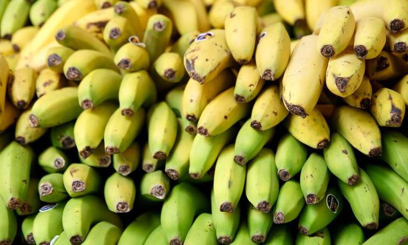 Which bananas are healthiest for you?