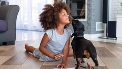 Each item contributes to your dog's overall well-being [iStock]