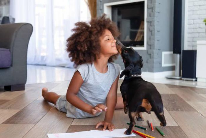 Each item contributes to your dog's overall well-being [iStock]