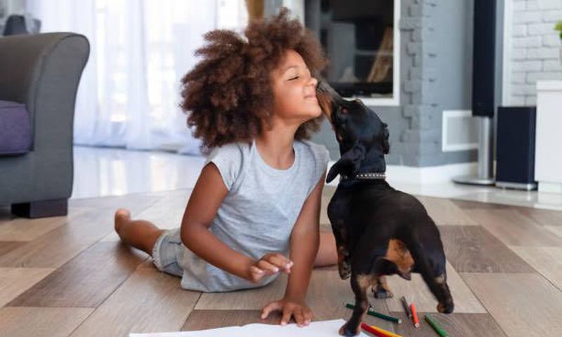 Each item contributes to your dog's overall well-being [iStock]