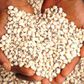 Beans are one of the most affordable sources of protein [BusinessdayNG]