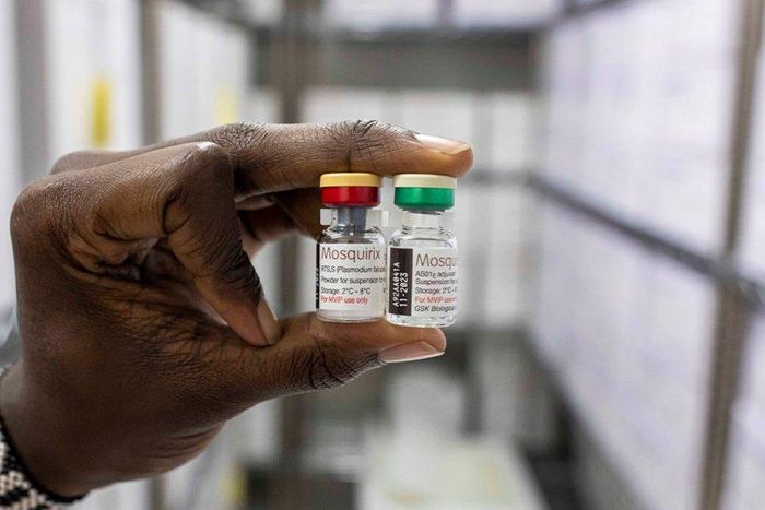 According to health experts, the R21 malaria vaccine could save millions from the mosquito-borne disease.