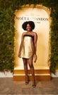 Moët & Chandon savoir-faire combined in Africa