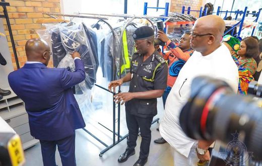 Your effective policing is visible -  Vice President Bawumia commends IGP Dampare