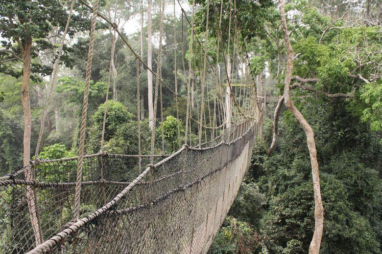 Kakum National Park