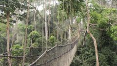 Kakum National Park