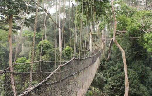 Kakum National Park
