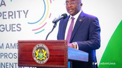 We must change the narrative about Africa – Bawumia urges