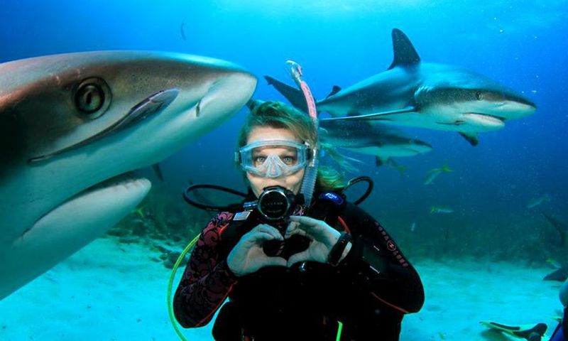 Scuba Diver Life