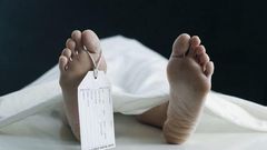 ___9095400___2018___11___12___11___morgue