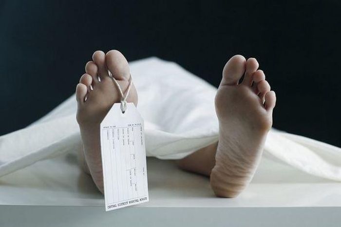 ___9095400___2018___11___12___11___morgue