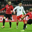 Wales fell to a surprise friendly defeat in Albania