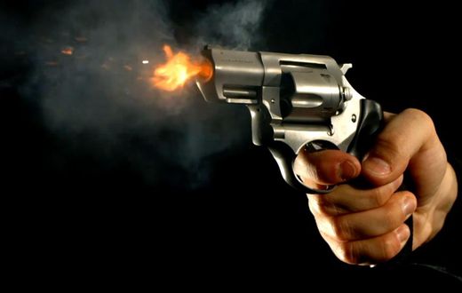 Gun