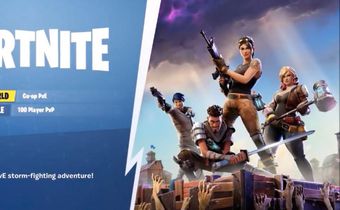 Fortnite (leaked mode)