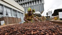 Ivory Coast supplies two million tonnes of cocoa to the world market annually