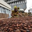 Ivory Coast supplies two million tonnes of cocoa to the world market annually