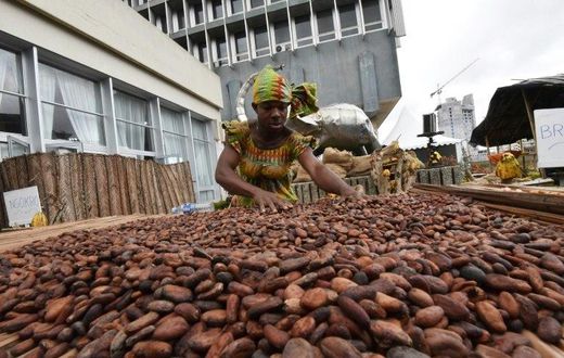 Ivory Coast supplies two million tonnes of cocoa to the world market annually