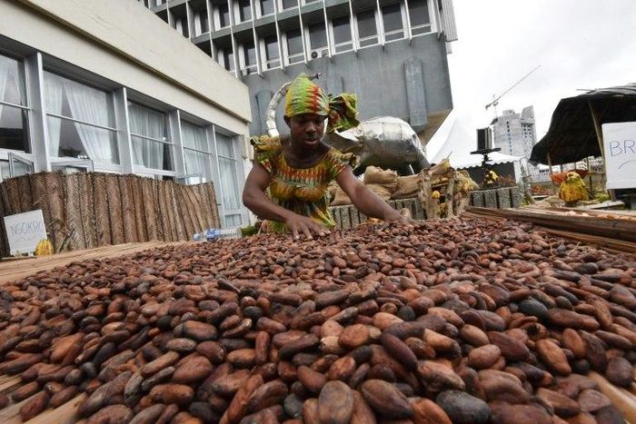 Ivory Coast supplies two million tonnes of cocoa to the world market annually