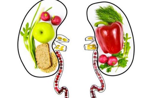 healthy kidneys