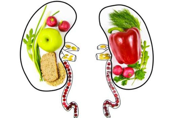 healthy kidneys