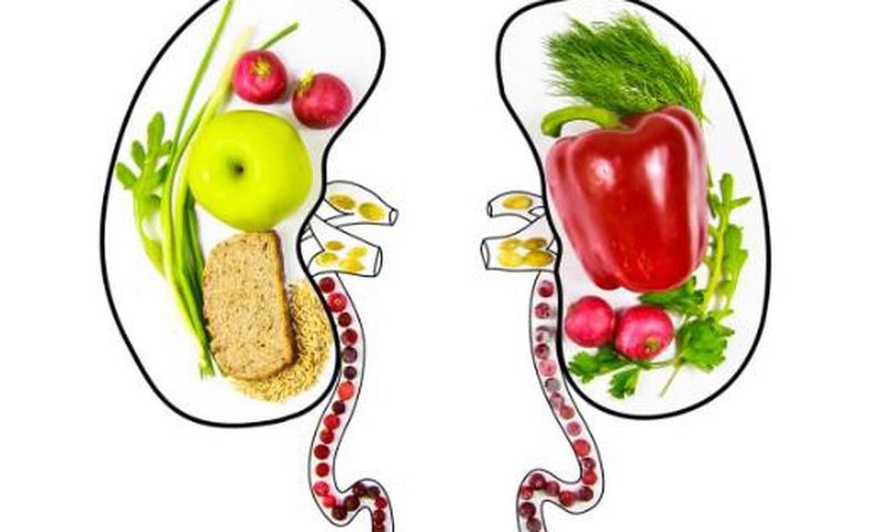 healthy kidneys