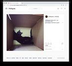 There's an easy trick for downloading photos from Instagram — here's how to do it (FB)