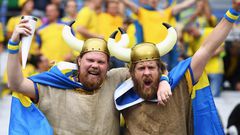 Sweden Swedish Fans
