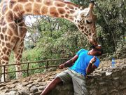 Lawrence Phillips kissing a giraffe in Kenya, 2015.Courtesy of Lawrence Phillips