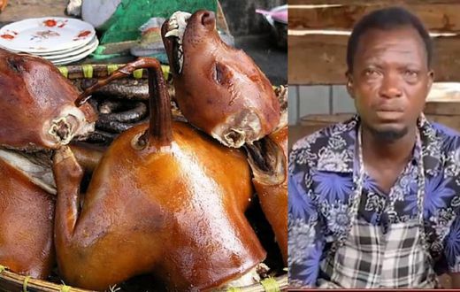 Sunyani dog meat sellers lament low sales, plead for dedicated market