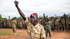 The Sudan People's Liberation Army has been kept well supplied with weaponry