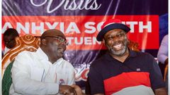 NAPO X Bawumia