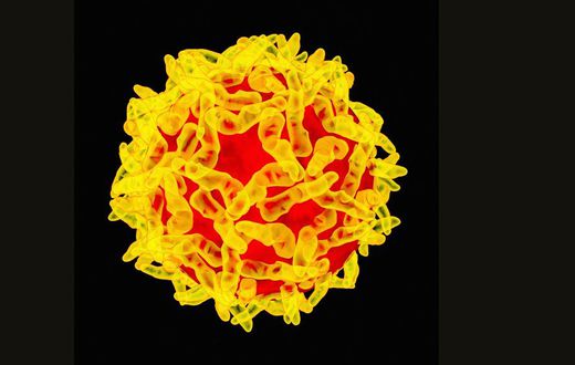 73 reportedly dead as Yellow Fever hit three states (Wired)