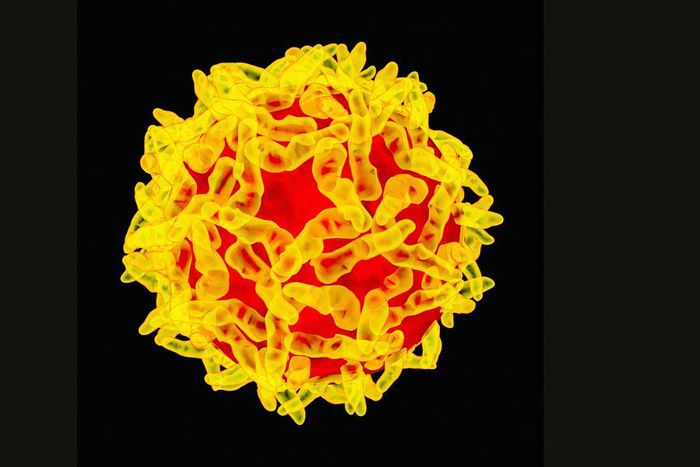 73 reportedly dead as Yellow Fever hit three states (Wired)