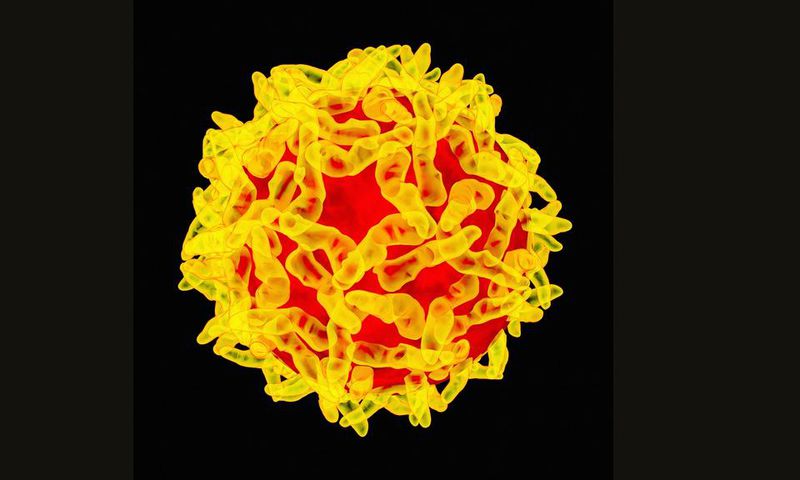 73 reportedly dead as Yellow Fever hit three states (Wired)