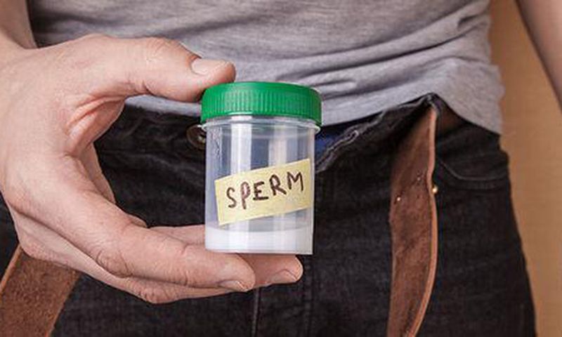 Sperm donation