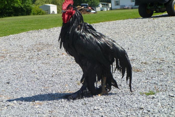 ___9084352___2018___11___8___14___700