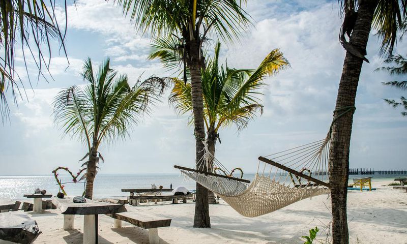 Le Zanzibar, petit paradis sur Terre à visiter en fin d'année / Ákos Helgert