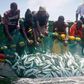 File photo: Fishermen