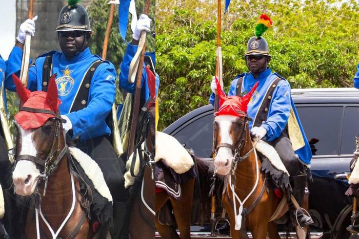 Ghana Police mourns the death of one of its horses, P/H Corporal Queen Mother