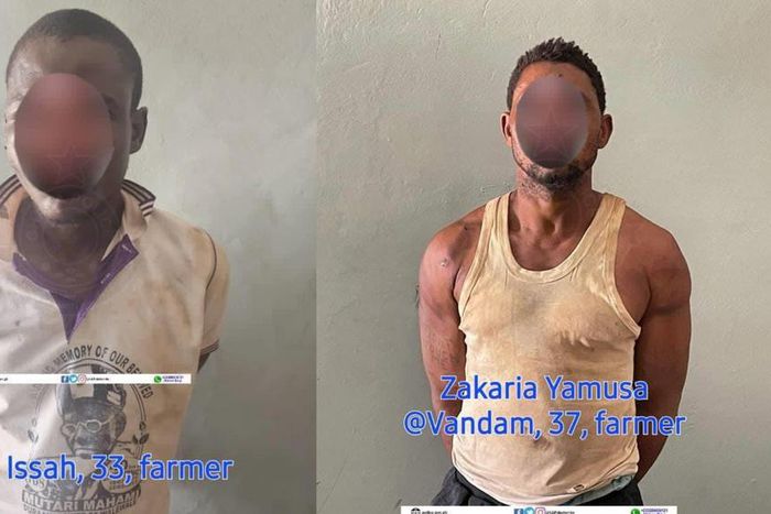 Police arrest 2 in over robbery, murder of MoMo vendor and another in Walewale