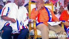 President Nana Addo Dankwa Akufo-Addo and Vice President Dr Mahamudu Bawumia